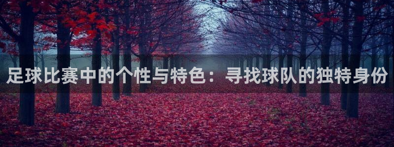  足球比赛中的个性与特色：寻找球队的独特身份