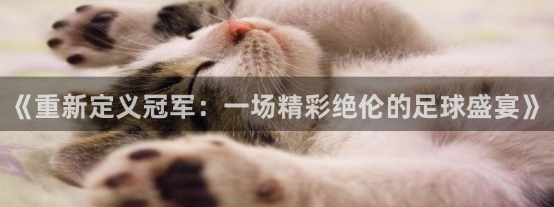 《重新定义冠军：一场精彩绝伦的足球盛宴》