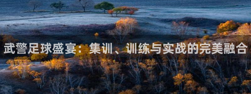  武警足球盛宴：集训、训练与实战的完美融合