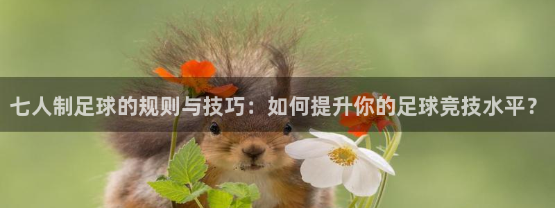 七人制足球的规则与技巧：如何提升你的足球竞技水平？