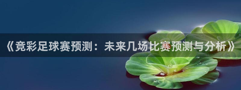 《竞彩足球赛预测：未来几场比赛预测与分析》
