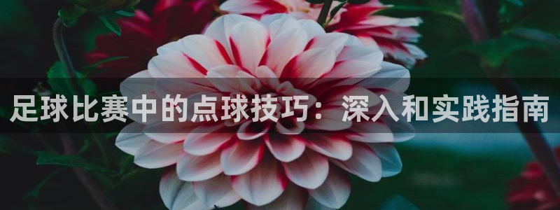 足球比赛中的点球技巧：深入和实践指南