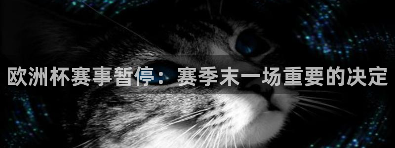 欧洲杯赛事暂停：赛季末一场重要的决定