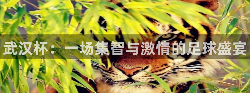 武汉杯：一场集智与激情的足球盛宴