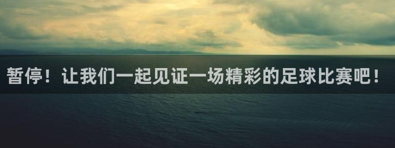 暂停！让我们一起见证一场精彩的足球比赛吧！