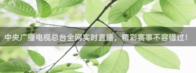 极速体育直播下载：中央广播电视总台全网实时直播，精彩赛事不容错过！