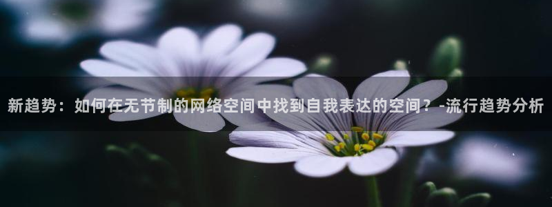 极速体育免费观看：新趋势：如何在无节制的网络空间中找到自我表达的空间？-流行趋势分析