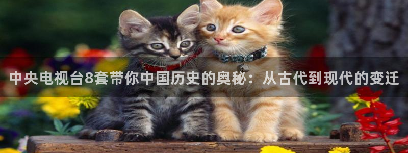 极速体育体育吧直播：中央电视台8套带你中国历史的奥秘：从古代到现代的变迁