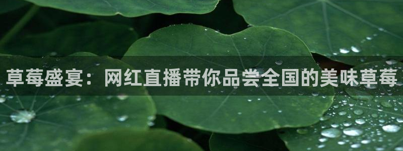 极速体育nba在线直播观看雨燕：草莓盛宴：网红直播带你品尝全国的美味草莓