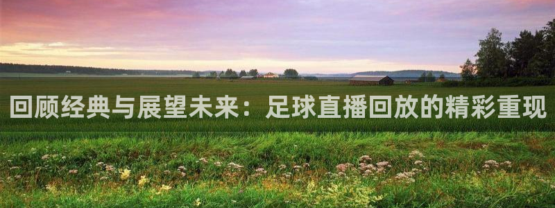 极速体育直播极速体育直播：回顾经典与展望未来：足球直播回放的精彩重现