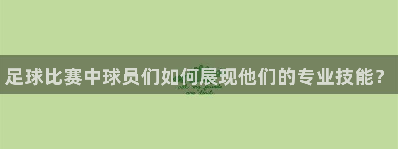 足球比赛中球员们如何展现他们的专业技