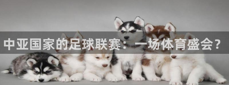 中亚国家的足球联赛：一场体育盛会？