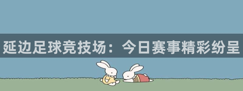 延边足球竞技场：今日赛事精彩纷呈