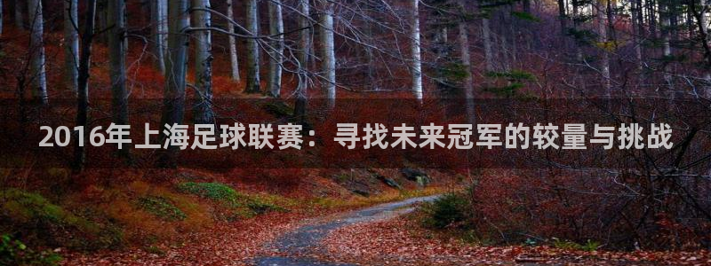2016年上海足球联赛：寻找未来冠军