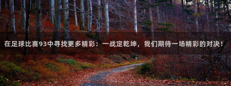 在足球比赛93中寻找更多精彩：一战定