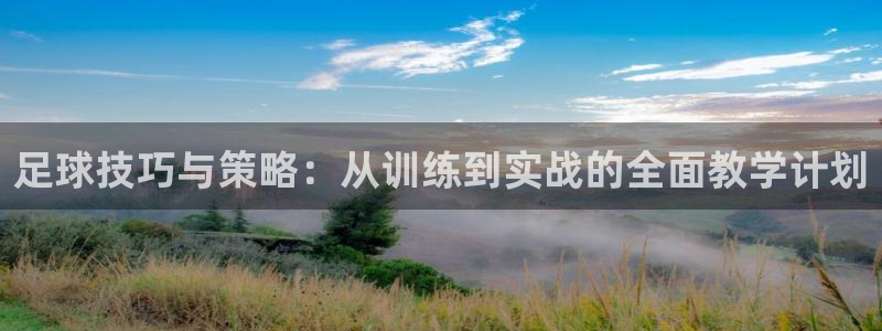 足球技巧与策略：从训练到实战的全面教