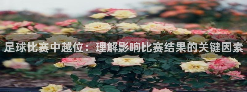 足球比赛中越位：理解影响比赛结果的关