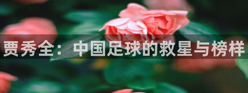 贾秀全：中国足球的救星与榜样