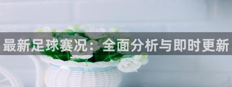 最新足球赛况：全面分析与即时更新