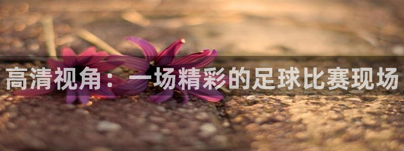 高清视角：一场精彩的足球比赛现场