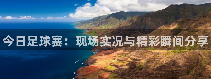 今日足球赛：现场实况与精彩瞬间分享