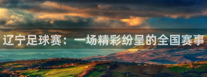 辽宁足球赛：一场精彩纷呈的全国赛事