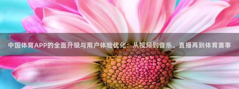 nba比赛极速体育：中国体育APP的全面升级与用户体验优化：从视频到音乐、直播再到体育赛事