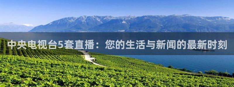 极速体育足球直播：中央电视台5套直播：您的生活与新闻的最新时刻