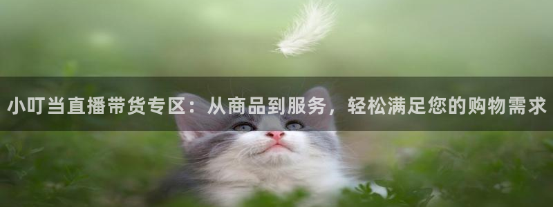 极速体育直播在线观看jrs：小叮当直播带货专区：从商品到服务，轻松满足您的购物需求
