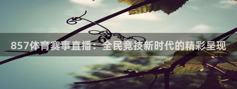 极速体育直播免费：857体育赛事直播：全民竞技新时代的精彩呈现