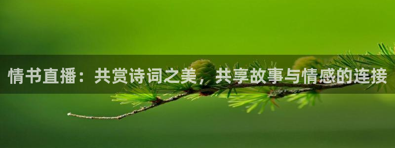 nba极速直播吧：情书直播：共赏诗词之美，共享故事与情感的连接