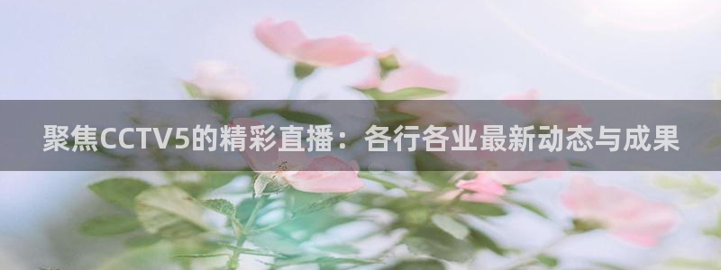 极速体育直播nba体育直播：聚焦CCTV5的精彩直播：各行各业最新动态与成果