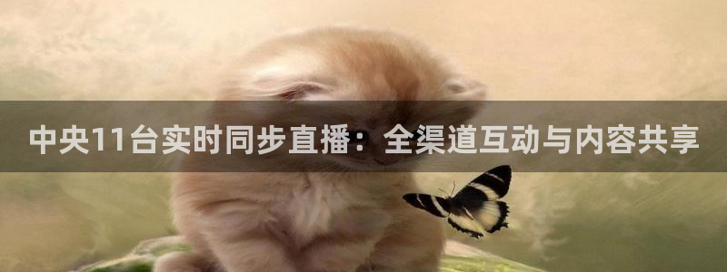 jrs极速体育直播nba在线视频直播：中央11台实时同步直播：全渠道互动与内容共享
